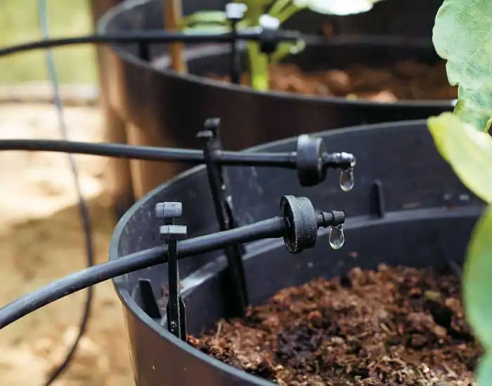 Royal Sketch Landscape - Drip Irrigation