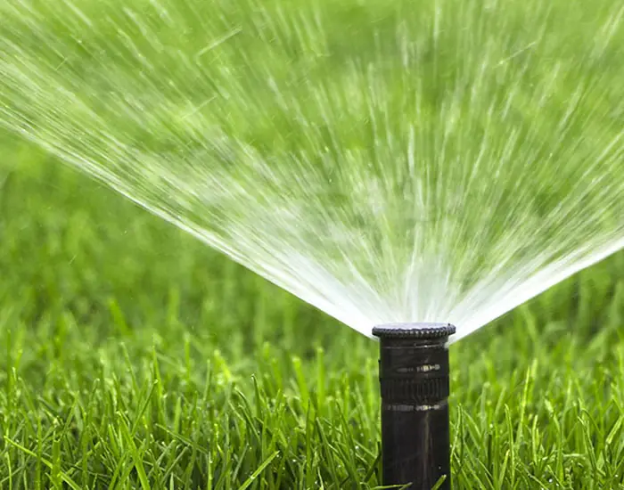 Drip Irrigation - Royal Sketch Landscape