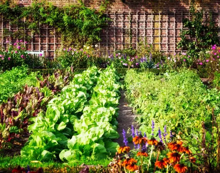 Royal Sketch Landscape - Gardening
