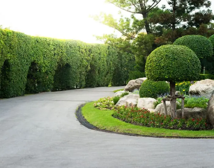 Landscaping - Royal Sketch Landscape