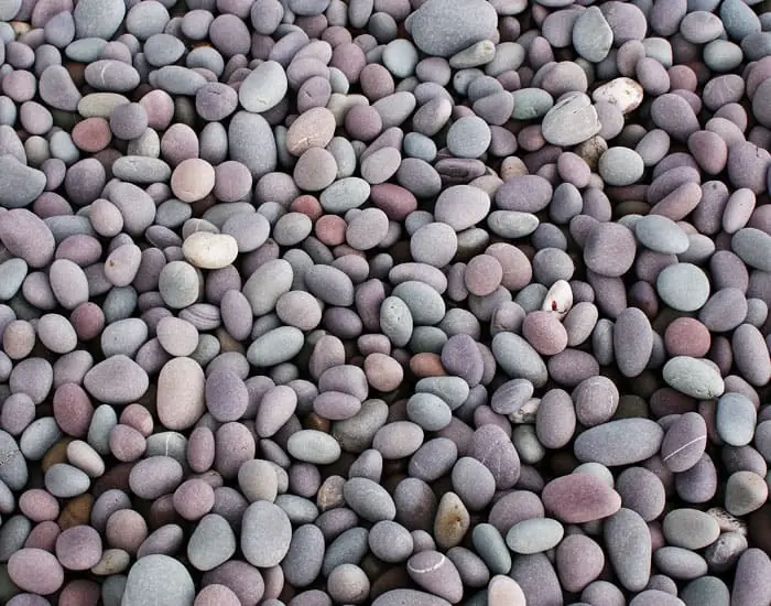 Pebbles - Royal Sketch Landscape