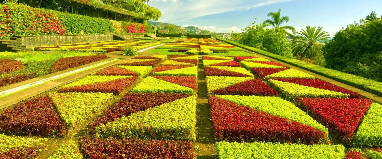 Royal Sketch Landscape garden project