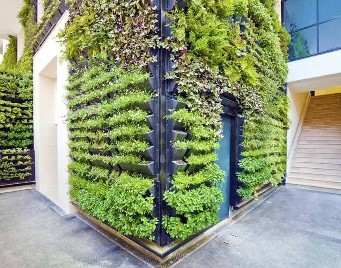 Royal Sketch Landscape - Vertical Gardening