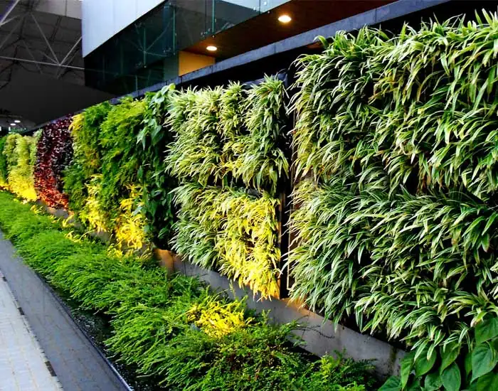 Royal Sketch Landscape - Vertical Gardening